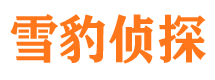 鼎湖市侦探公司